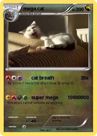 Pokemon mega cat