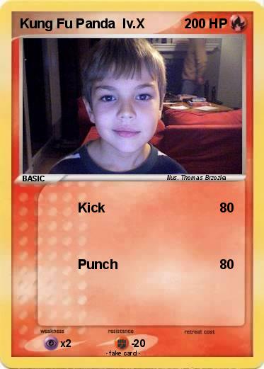 Pokemon Kung Fu Panda  lv.X