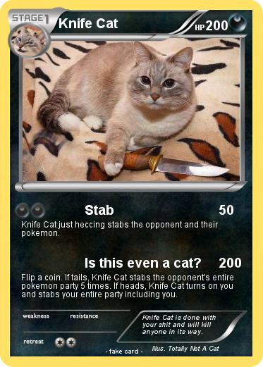 Pokemon Knife Cat