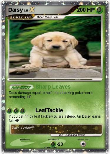 Pokemon Daisy