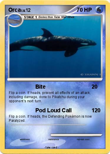 Pokemon Orca
