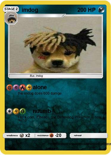 Pokemon imdog