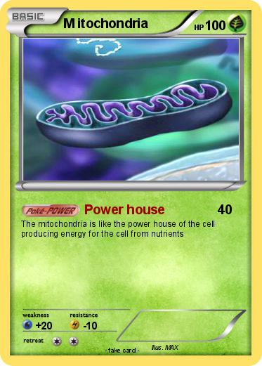 Pokemon M itochondria