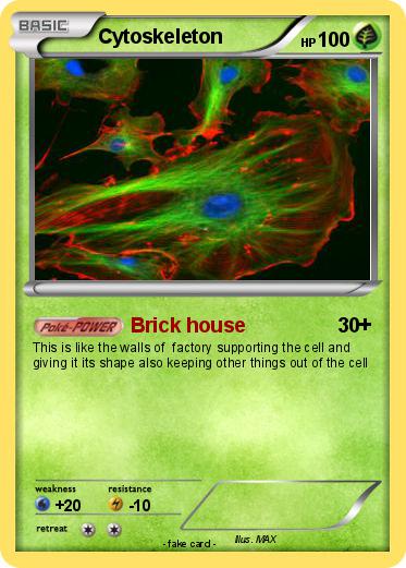 Pokemon Cytoskeleton