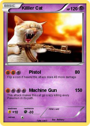 Pokemon Killler Cat