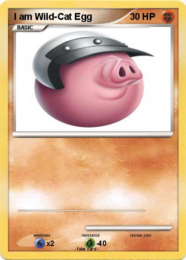 Pokemon I am Wild-Cat Egg