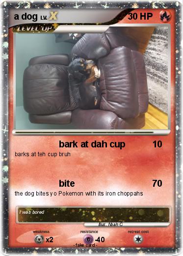 Pokemon a dog