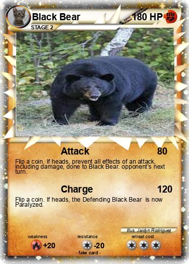 Pokemon Black Bear