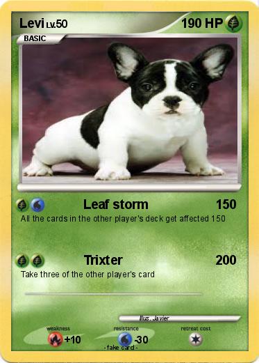 Pokemon Levi