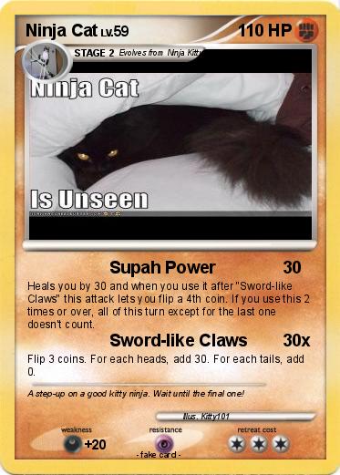 Pokemon Ninja Cat