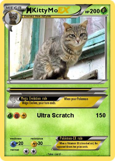 Pokemon KittyMo