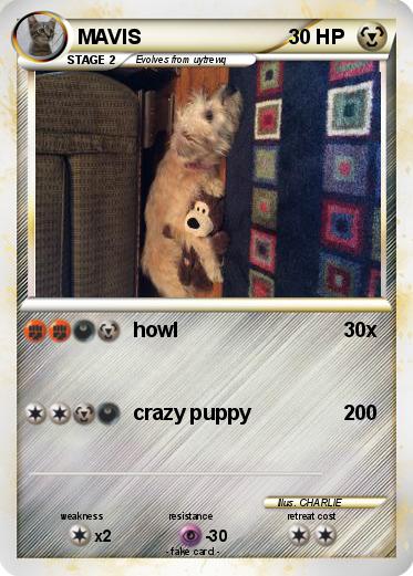 Pokemon MAVIS