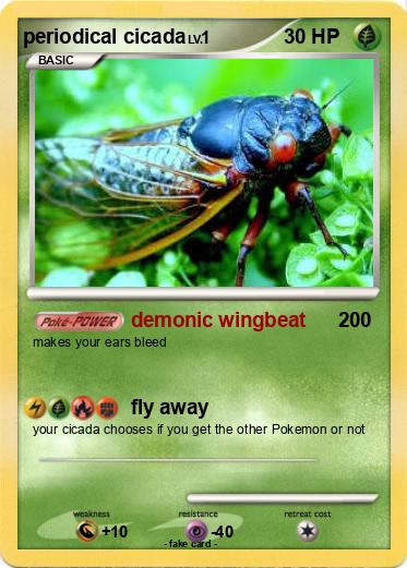 Pokemon periodical cicada