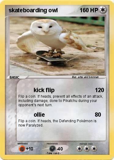 Pokemon skateboarding owl