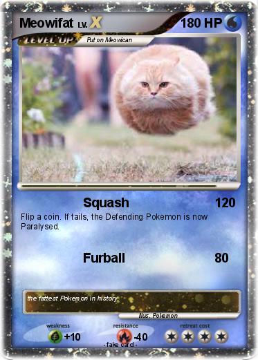 Pokemon Meowifat
