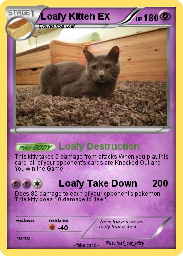 Pokemon Loafy Kitteh EX
