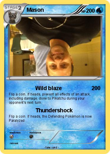 Pokemon Mason