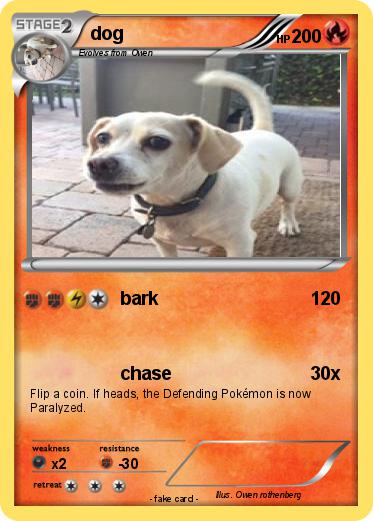 Pokemon dog