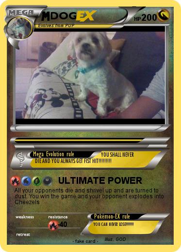 Pokemon DOG