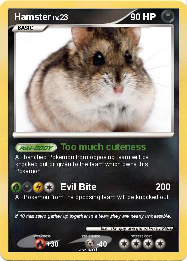 Pokemon Hamster