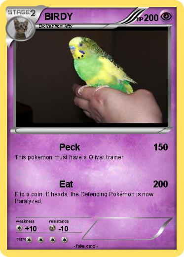 Pokemon BIRDY