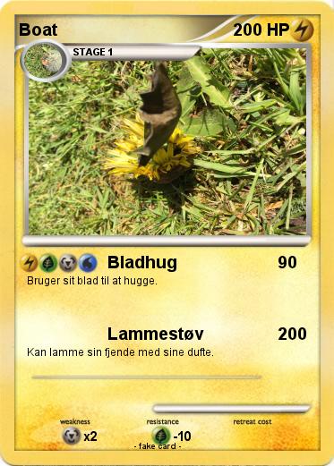 Pokemon Boat