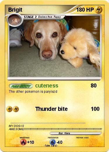 Pokemon Brigit