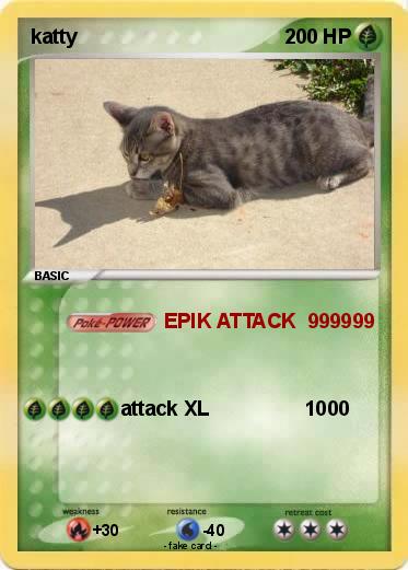 Pokemon katty