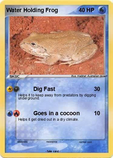 Pokemon Water Holding Frog