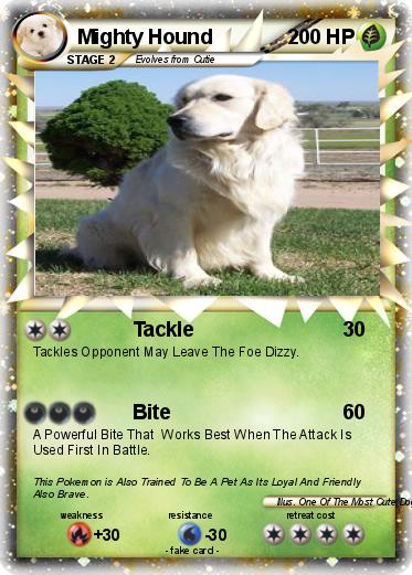 Pokemon Mighty Hound