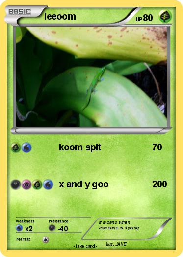 Pokemon leeoom