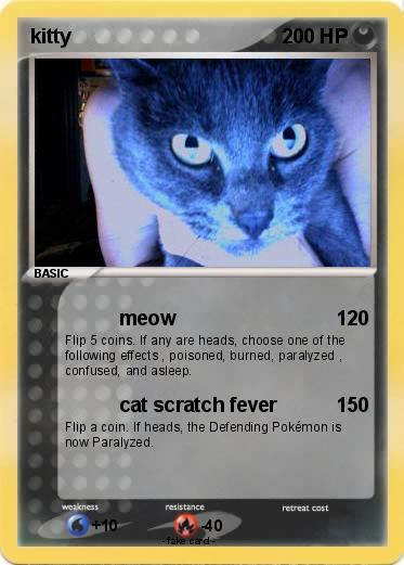 Pokemon kitty