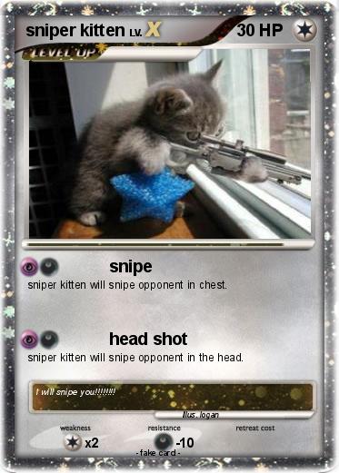Pokemon sniper kitten