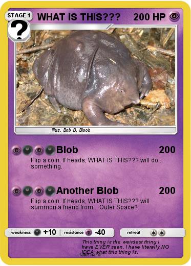 Pokemon WHAT IS THIS???