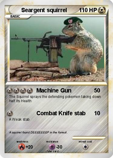 Pokemon Seargent squirrel