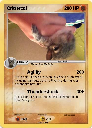 Pokemon Crittercal