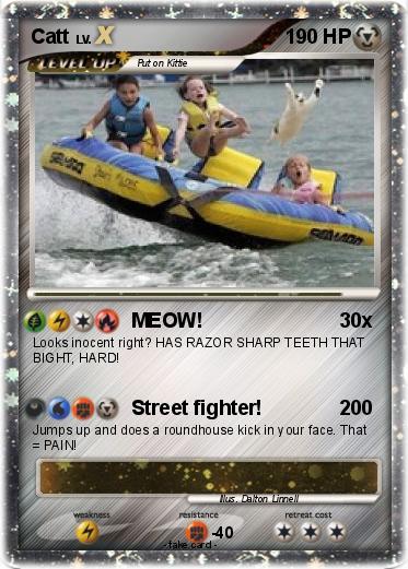 Pokemon Catt