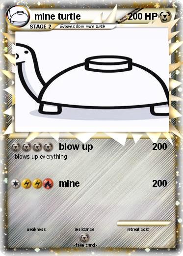 Pokemon mine turtle