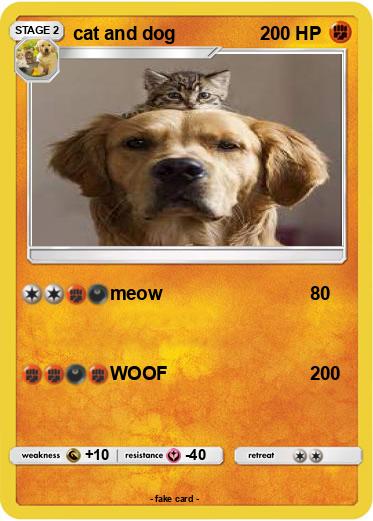 Pokemon cat and dog