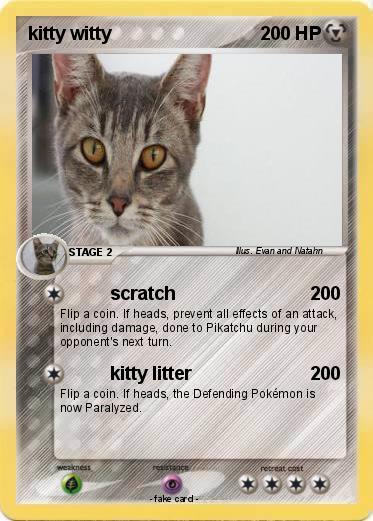 Pokemon kitty witty