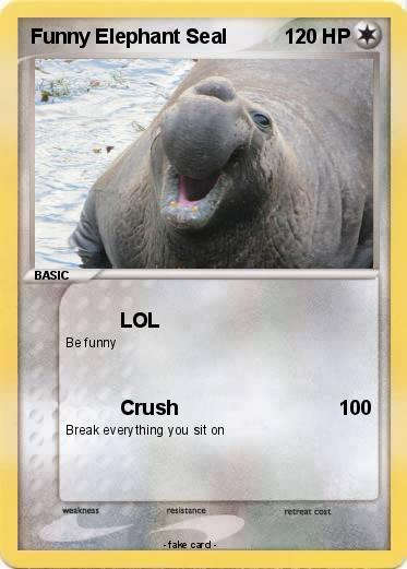 Pokemon Funny Elephant Seal