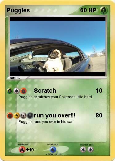 Pokemon Puggles