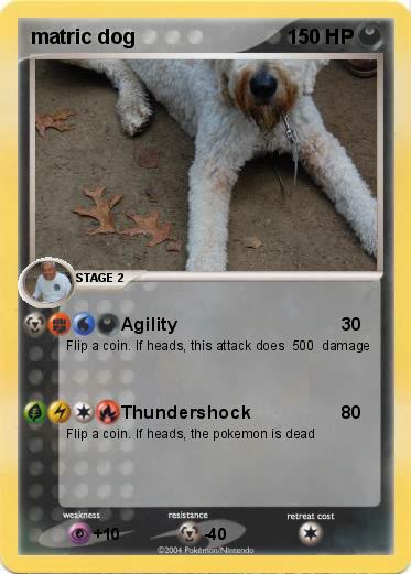 Pokemon matric dog