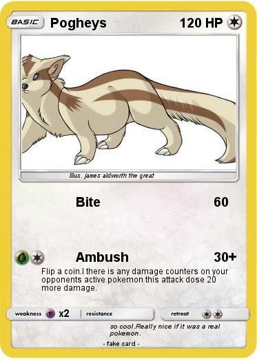 Pokemon Pogheys