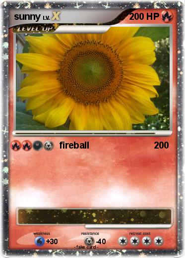 Pokemon sunny