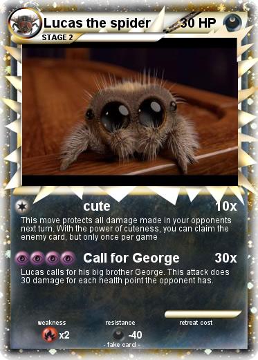 Pokemon Lucas the spider