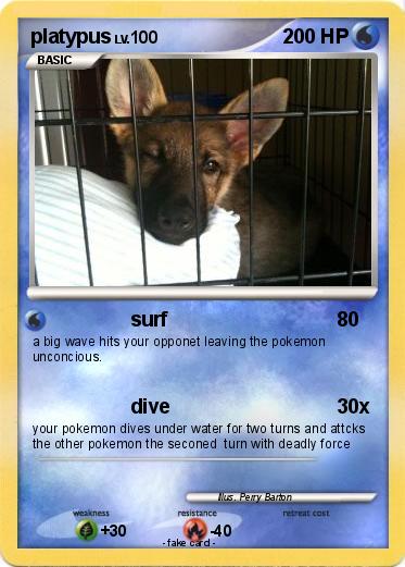 Pokemon platypus