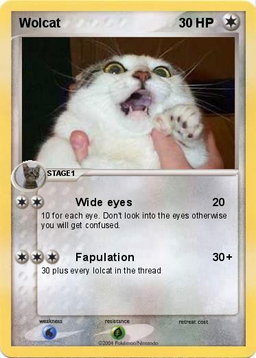 Pokemon Wolcat