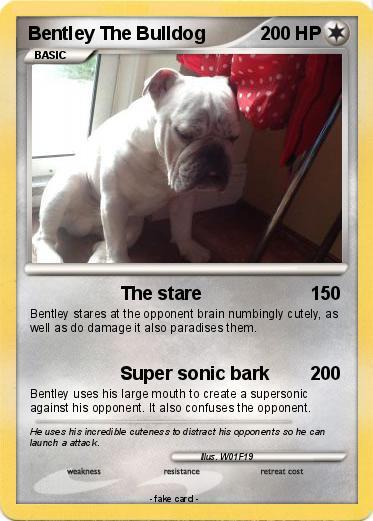 Pokemon Bentley The Bulldog