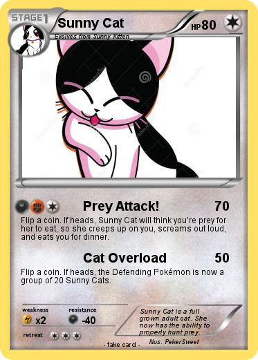 Pokemon Sunny Cat